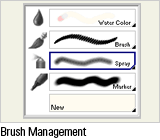 Brush Management